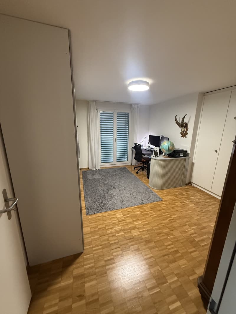Appartement lumineux 3.5 pièces avec grande terrasse et charme (10)