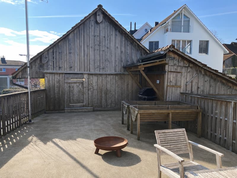 Appartement lumineux 3.5 pièces avec grande terrasse et charme (5)