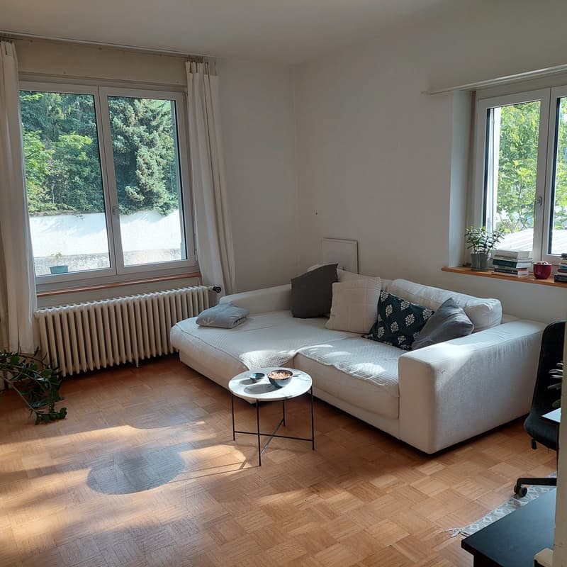 Möblierte Untervermietung (1)