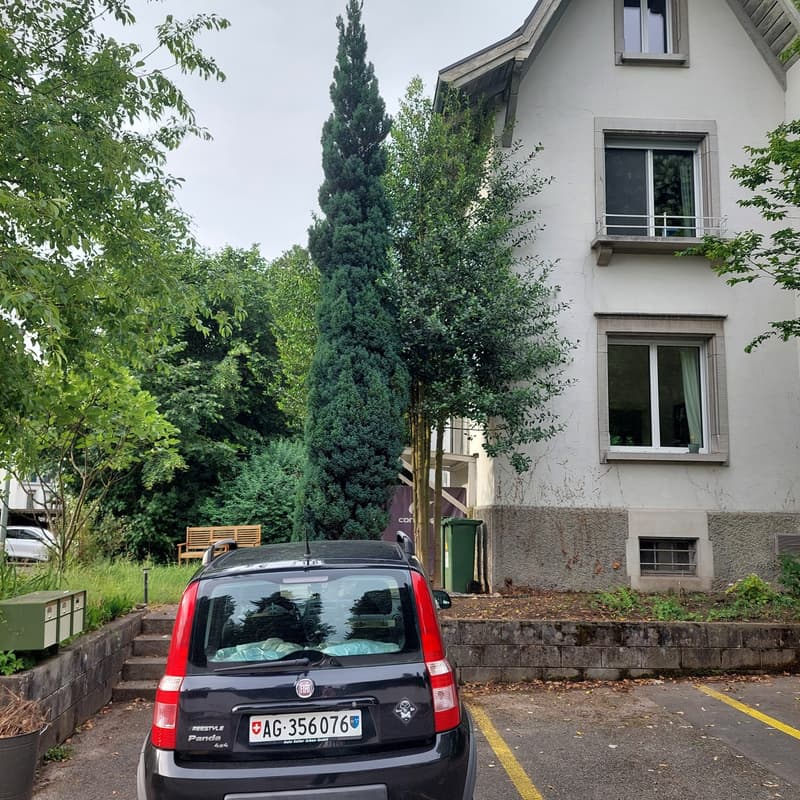 Möblierte Untervermietung (13)