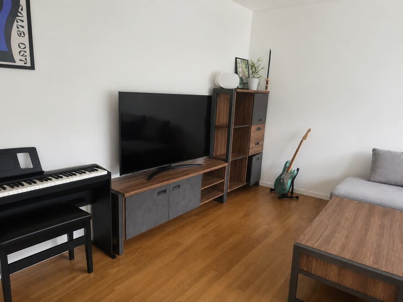 2.5 Room Apartment (2)
