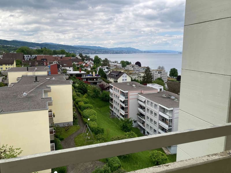 Zentrale Lage direkt am Zürichsee mit der schönsten Aussicht (7)