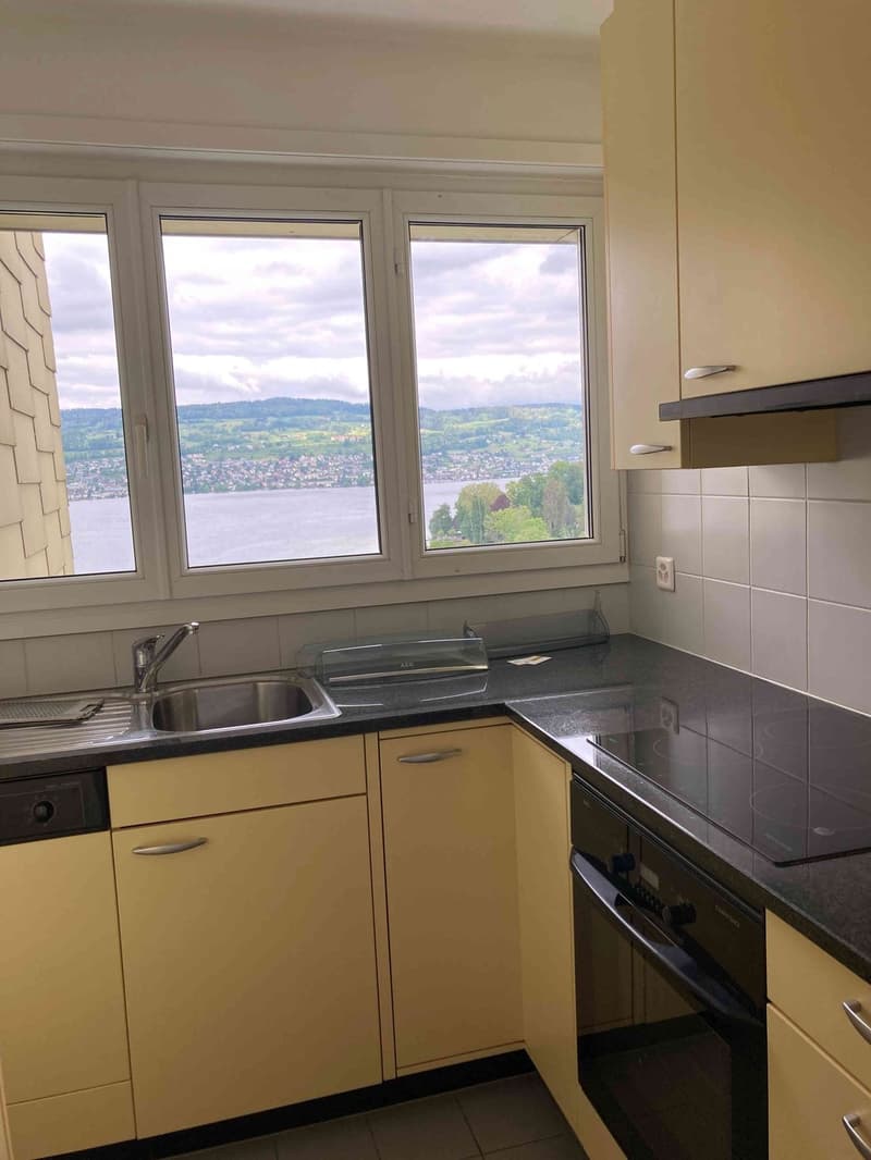 Zentrale Lage direkt am Zürichsee mit der schönsten Aussicht (3)