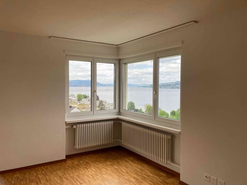 Zentrale Lage direkt am Zürichsee mit der schönsten Aussicht (1)