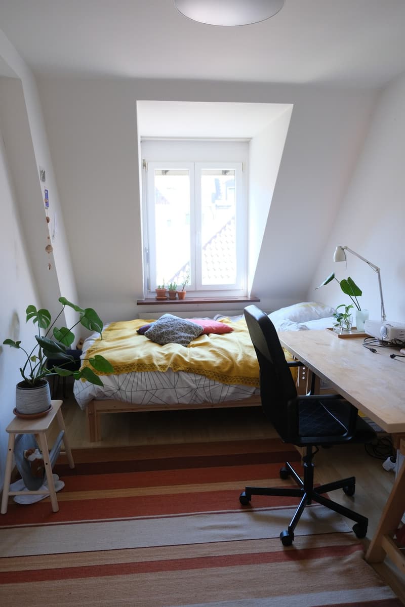 Zentral 3-Zimmer-Wohnung (5)