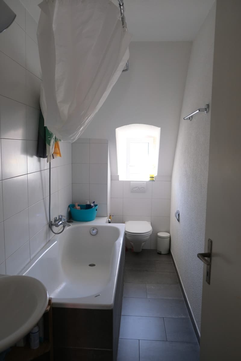 Zentral 3-Zimmer-Wohnung (6)