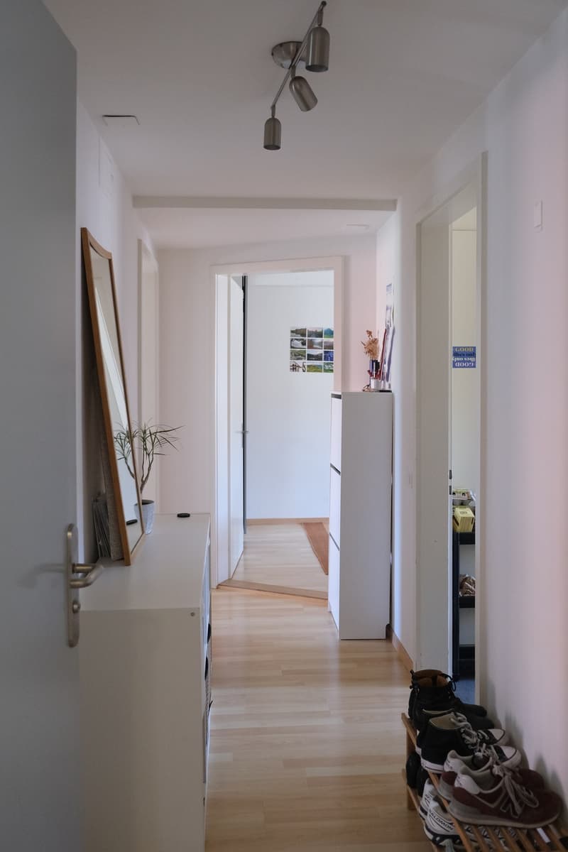 Zentral 3-Zimmer-Wohnung (3)