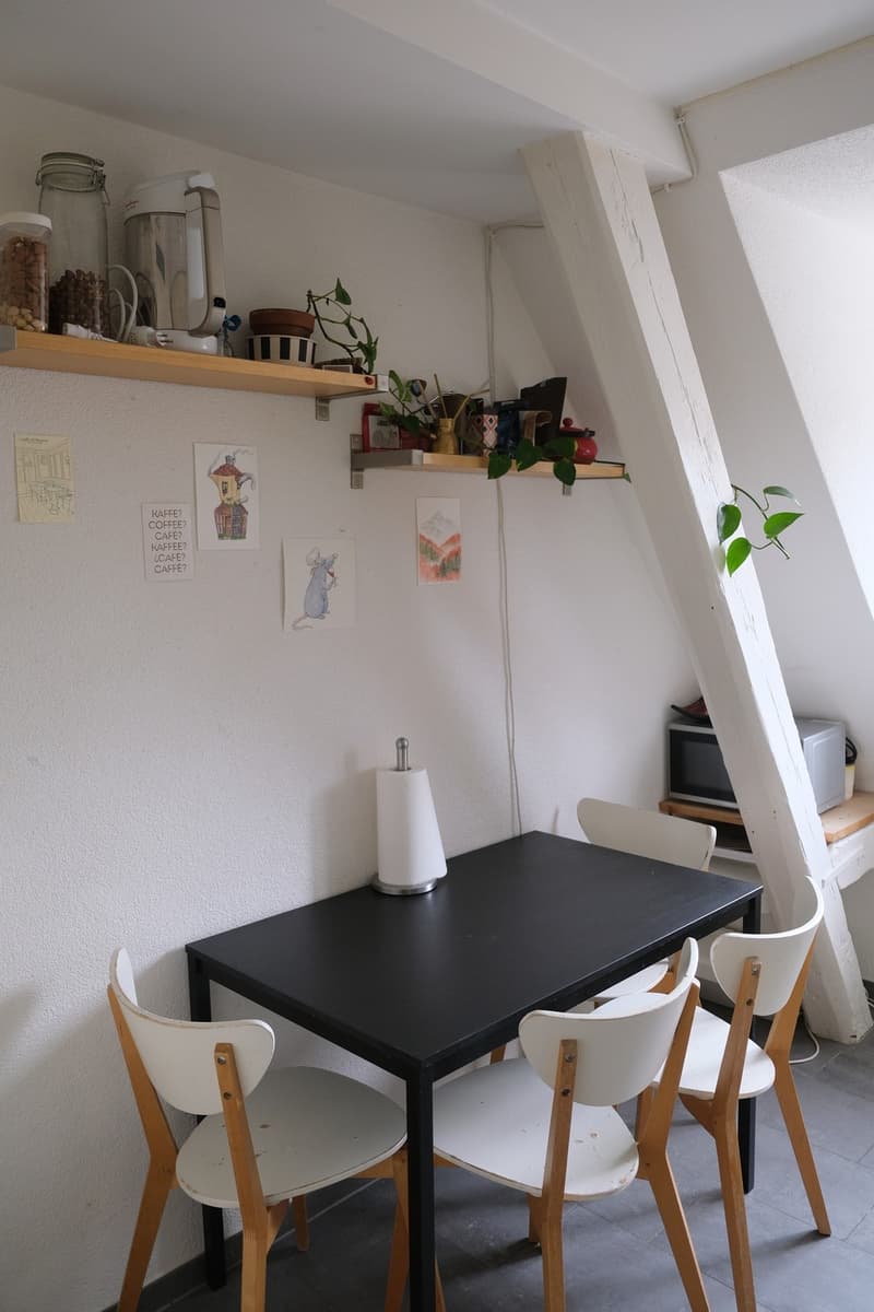 Zentral 3-Zimmer-Wohnung (8)