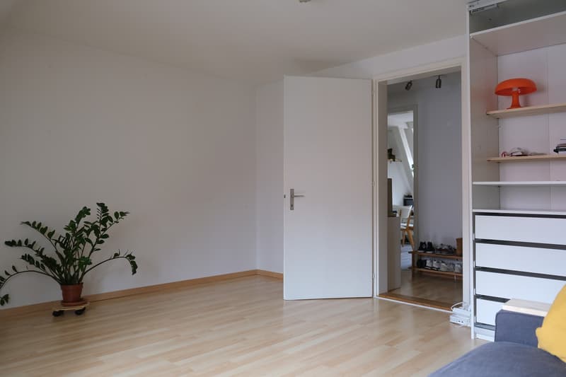 Zentral 3-Zimmer-Wohnung (2)
