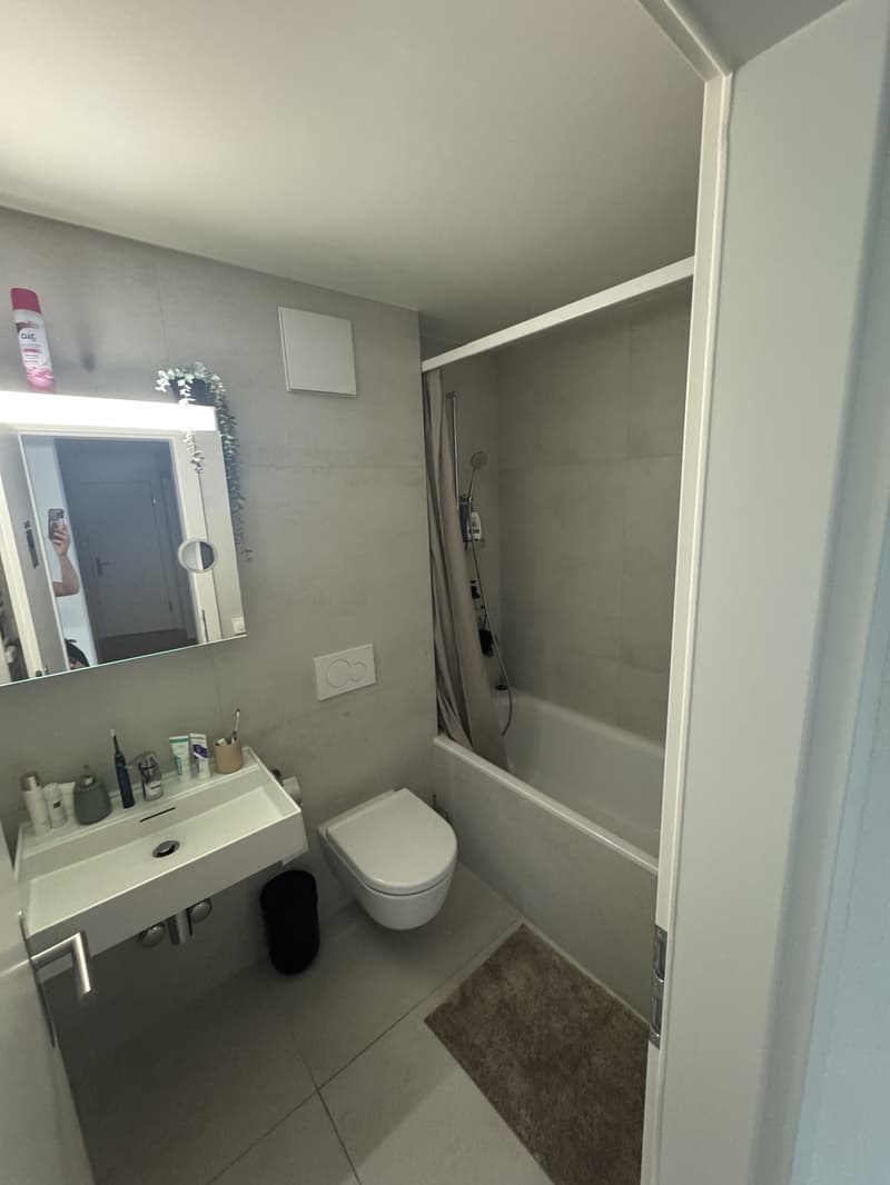 4 Pièces Appartement, 6003 Lucerne (2)