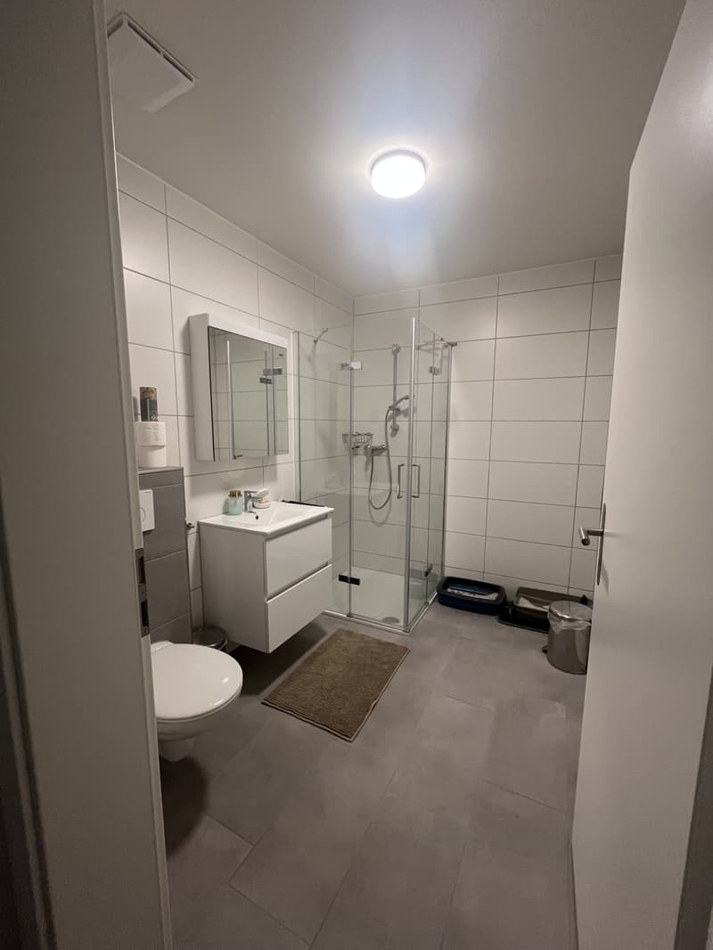 Bel appartement 3.5 pièces à Menziken (6)