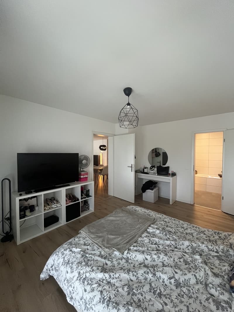 Bel appartement 3.5 pièces à Menziken (11)
