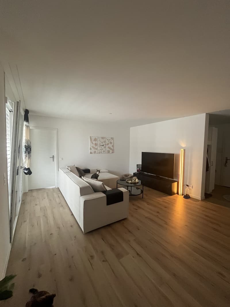 Bel appartement 3.5 pièces à Menziken (9)