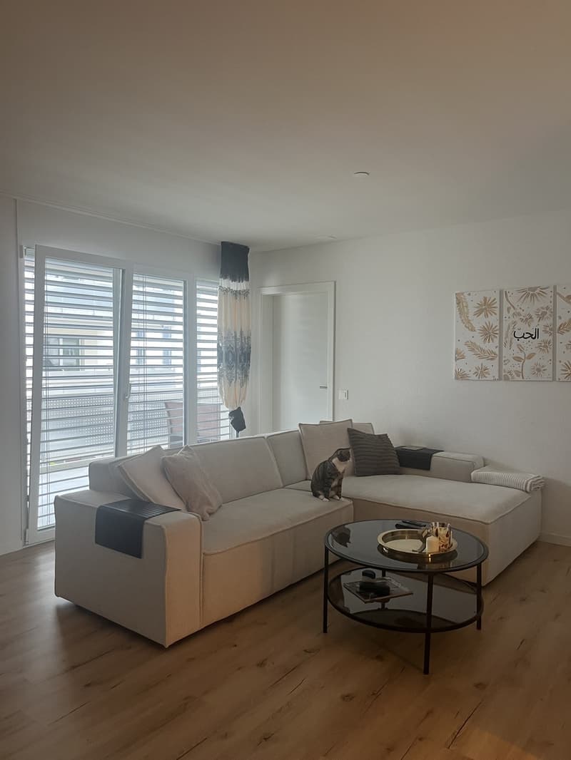 Bel appartement 3.5 pièces à Menziken (12)