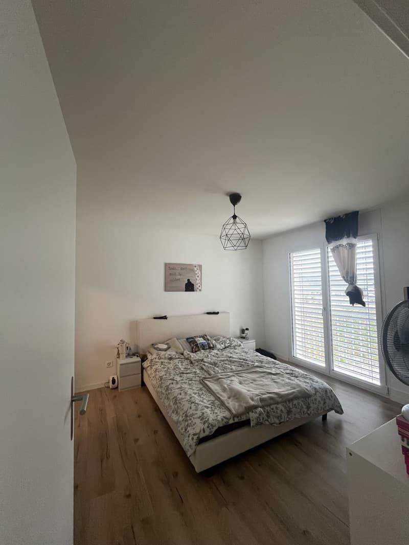 Bel appartement 3.5 pièces à Menziken (10)