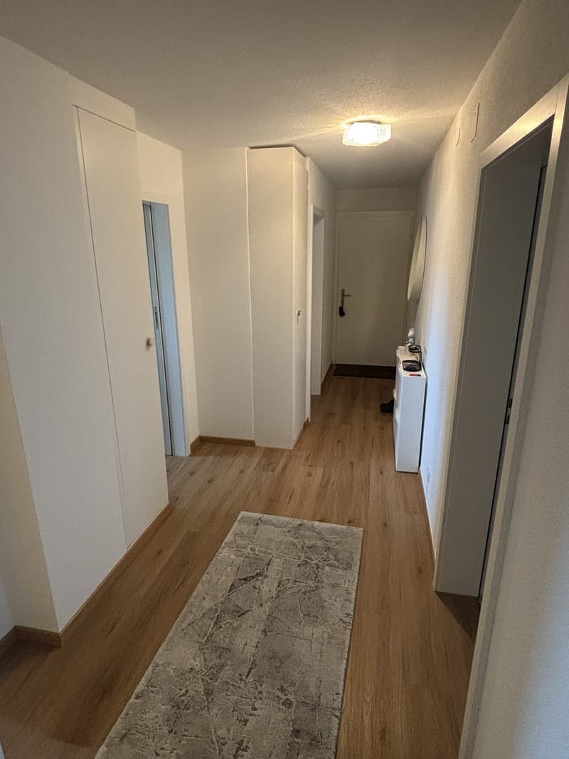Nachmieter/in Gesucht Per sofort oder nach Vereinbarung (6)