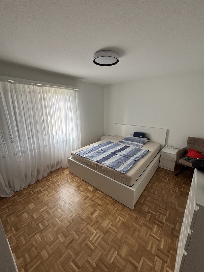 Nachmieter/in Gesucht Per sofort oder nach Vereinbarung (13)