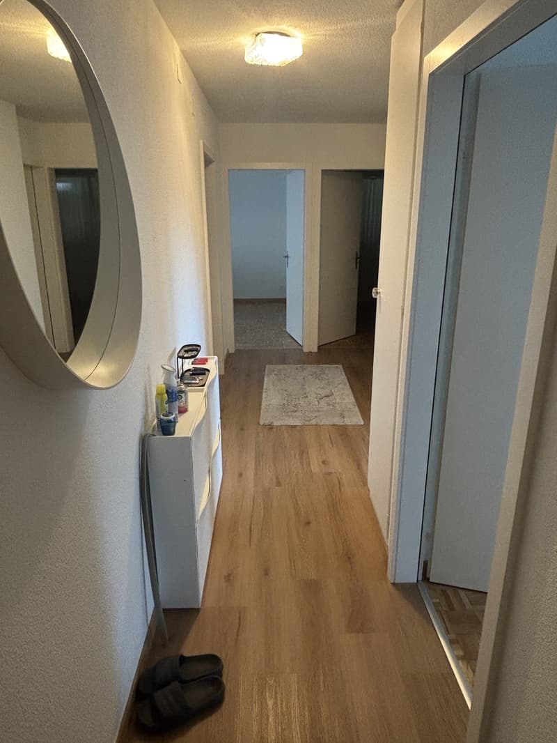 Nachmieter/in Gesucht Per sofort oder nach Vereinbarung (12)