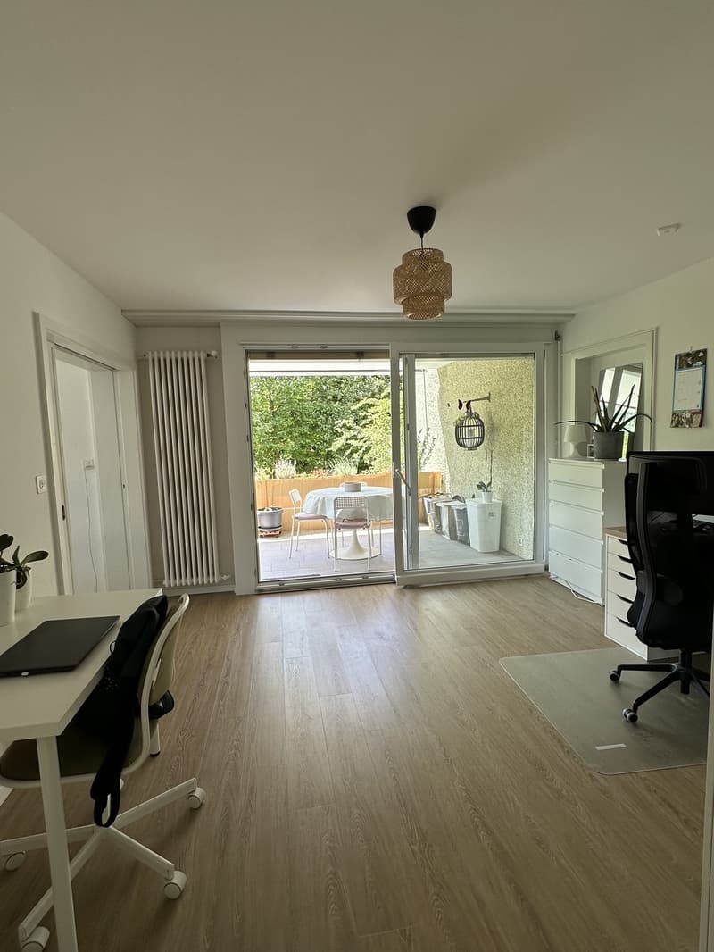 Appartamento 3 camere a Ennetbaden (4)