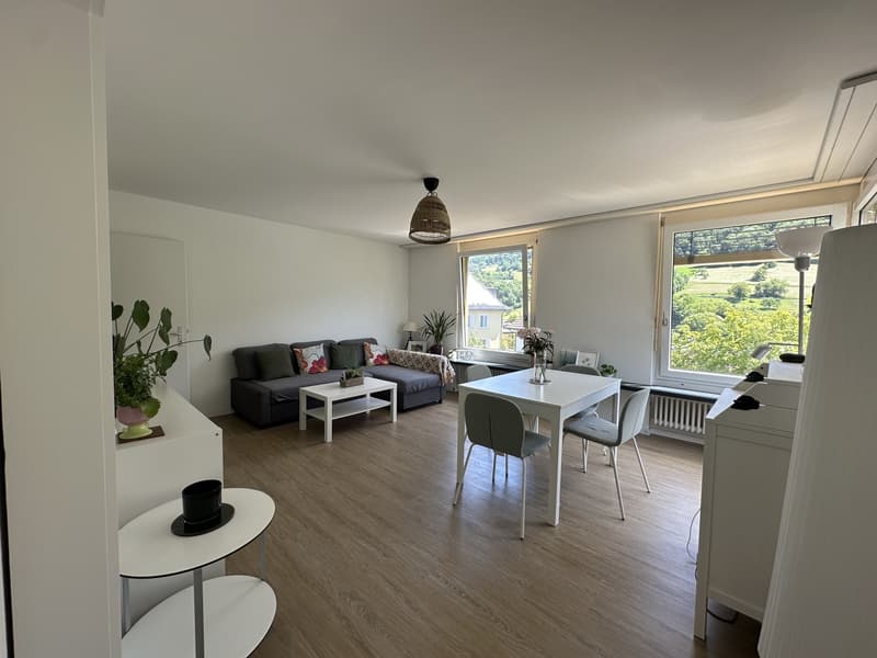 Appartamento 3 camere a Ennetbaden (2)