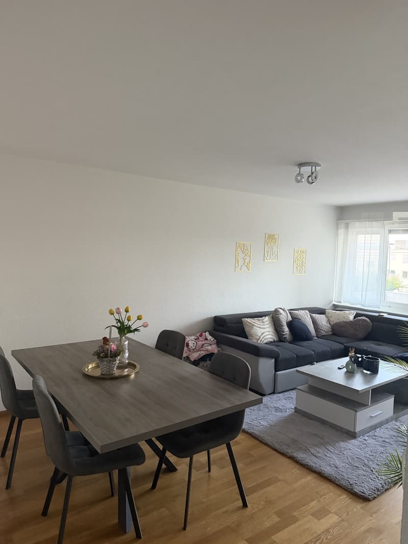 Appartement à proximité immédiate de la gare d'Oberglatt (4)