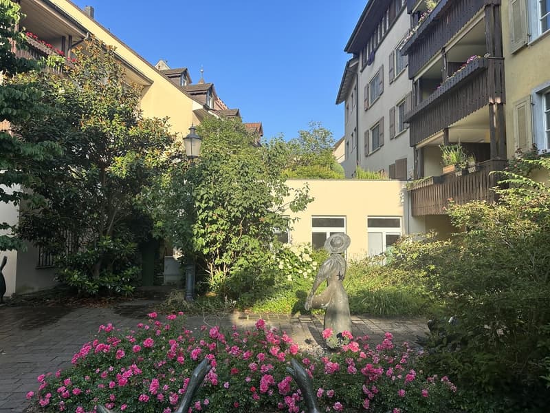 170 sqm with garden on the Rhine (3)