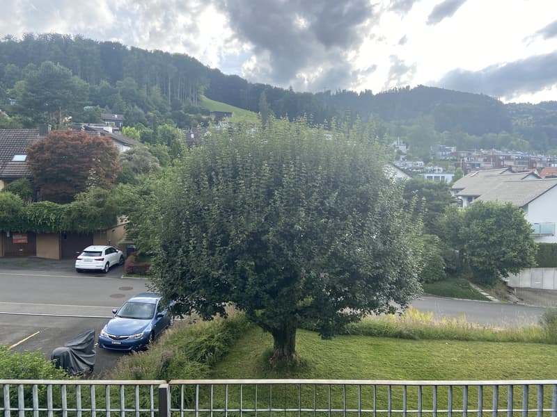 Appartamento bellissimo di 2,5 locali con posto auto in affitto dal 1.8.26 - Posizione tranquilla con vista! (2)