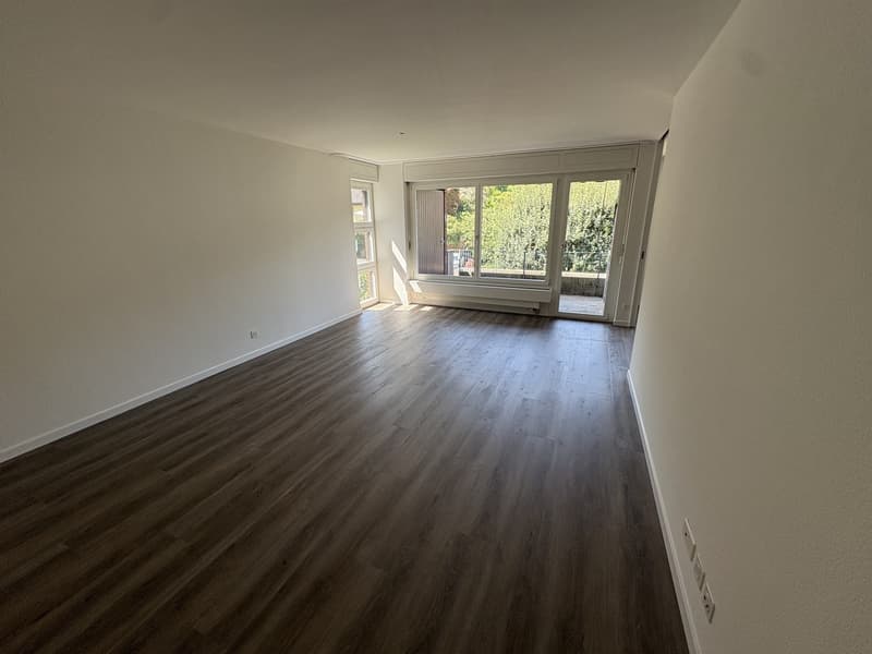 Appartamento bellissimo di 2,5 locali con posto auto in affitto dal 1.8.26 - Posizione tranquilla con vista! (3)