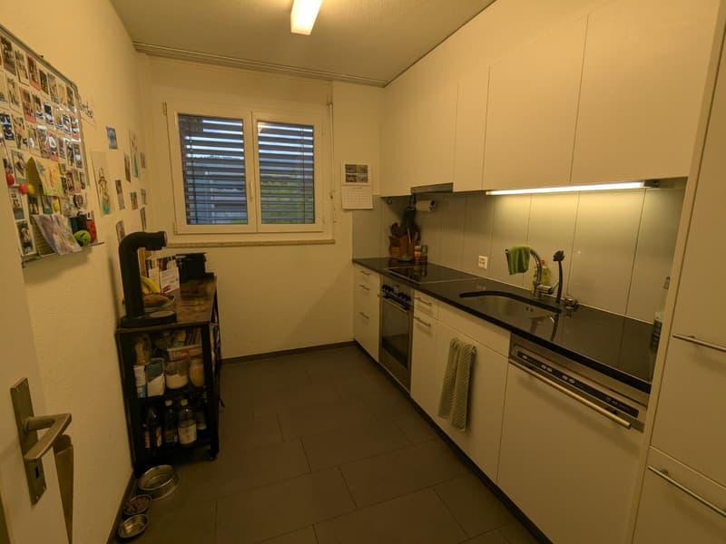 2 ½ rooms apartment, 8136 Gattikon (5)