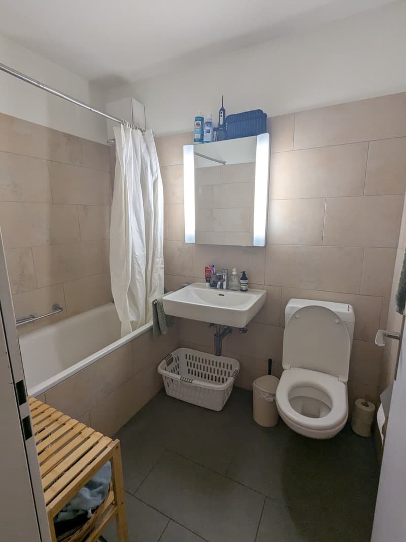 2 ½ rooms apartment, 8136 Gattikon (6)