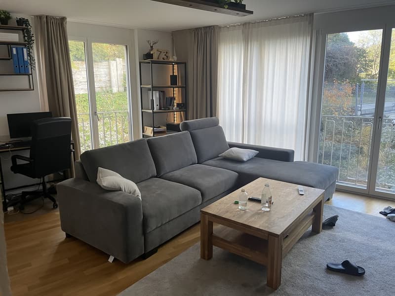 Bel appartement meublé à Wollishofen, avec terrasse privée (5)