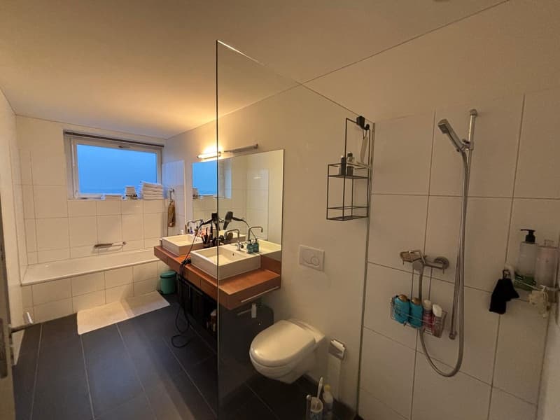 Shared room, 8048 Zurich (8)