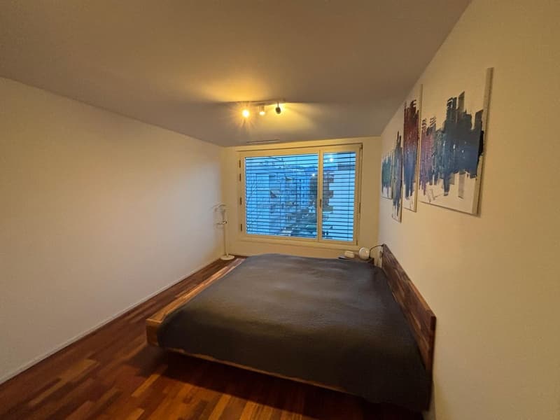 Shared room, 8048 Zurich (6)