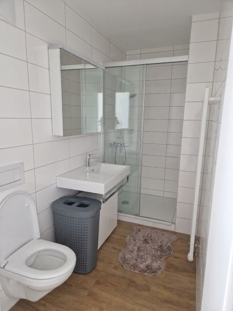 2.5 room apartment in Kreis 2 (5)