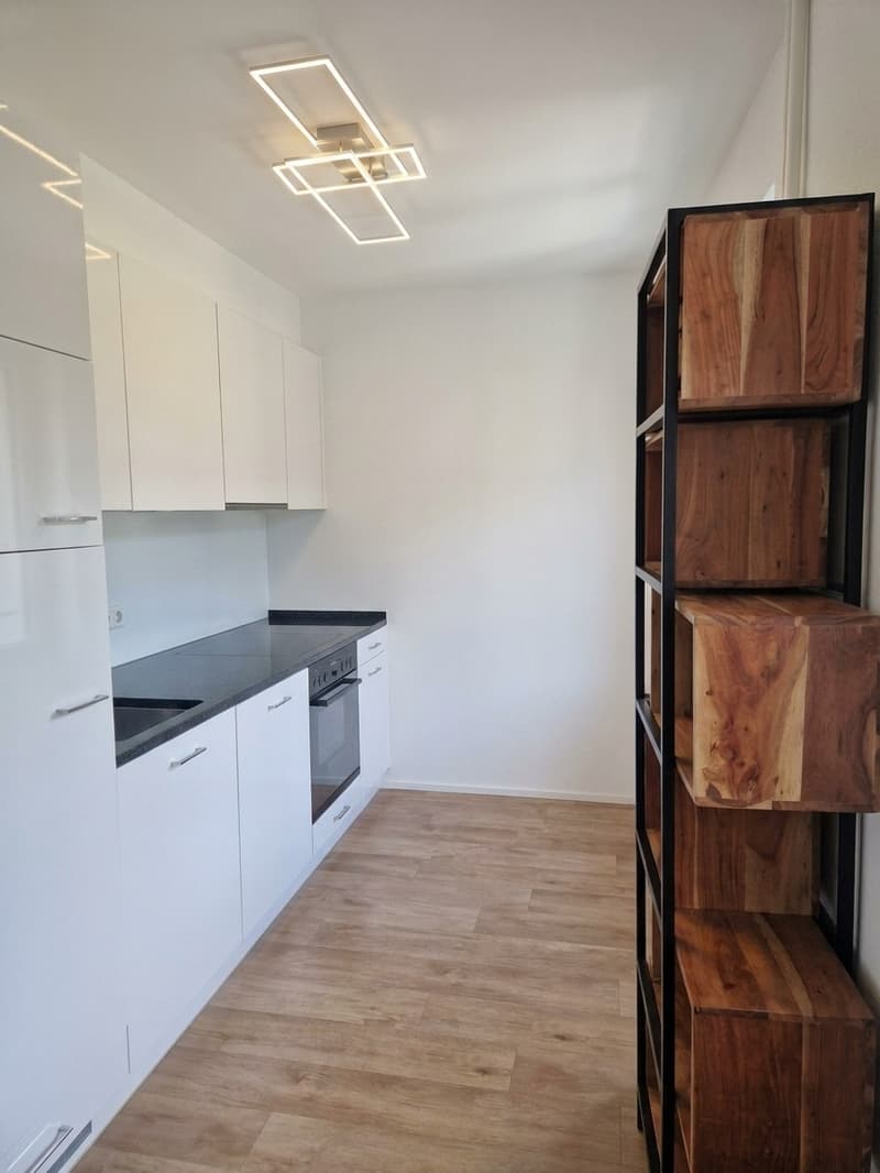 2.5 room apartment in Kreis 2 (4)