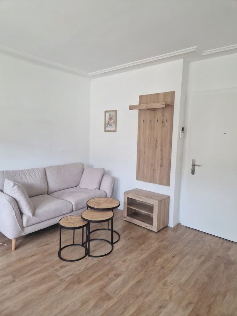 2.5 room apartment in Kreis 2 (2)