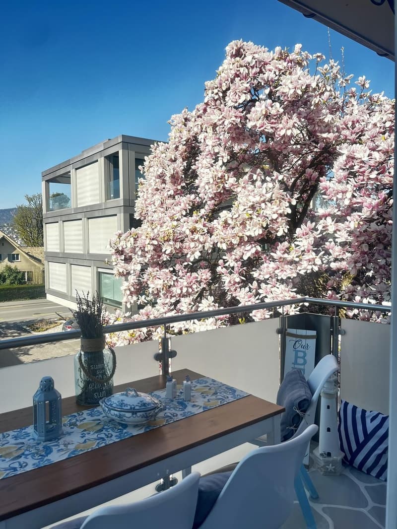 3 ½ Zimmer-Wohnung, 8700 Zurich (5)