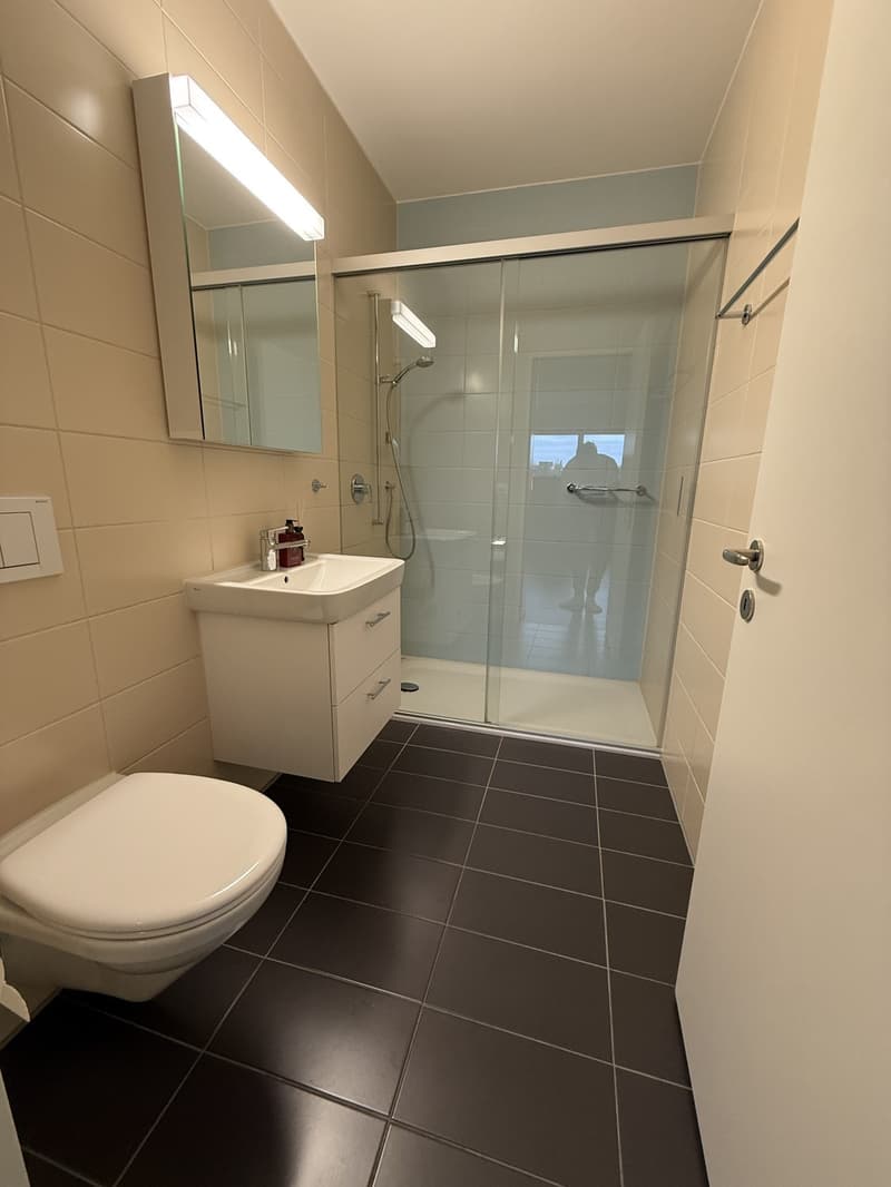 Möbelierte 3.5 Zimmer Wohnung in Baden zur befristeten Untermiete (10)