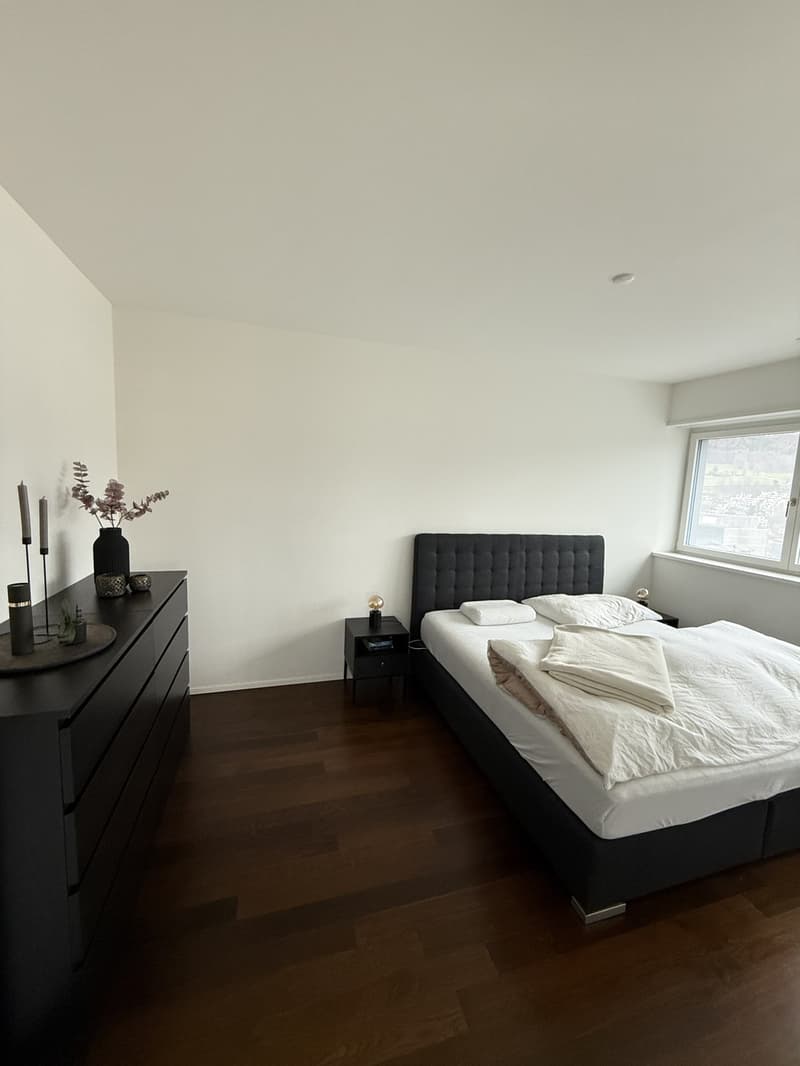 Möbelierte 3.5 Zimmer Wohnung in Baden zur befristeten Untermiete (6)