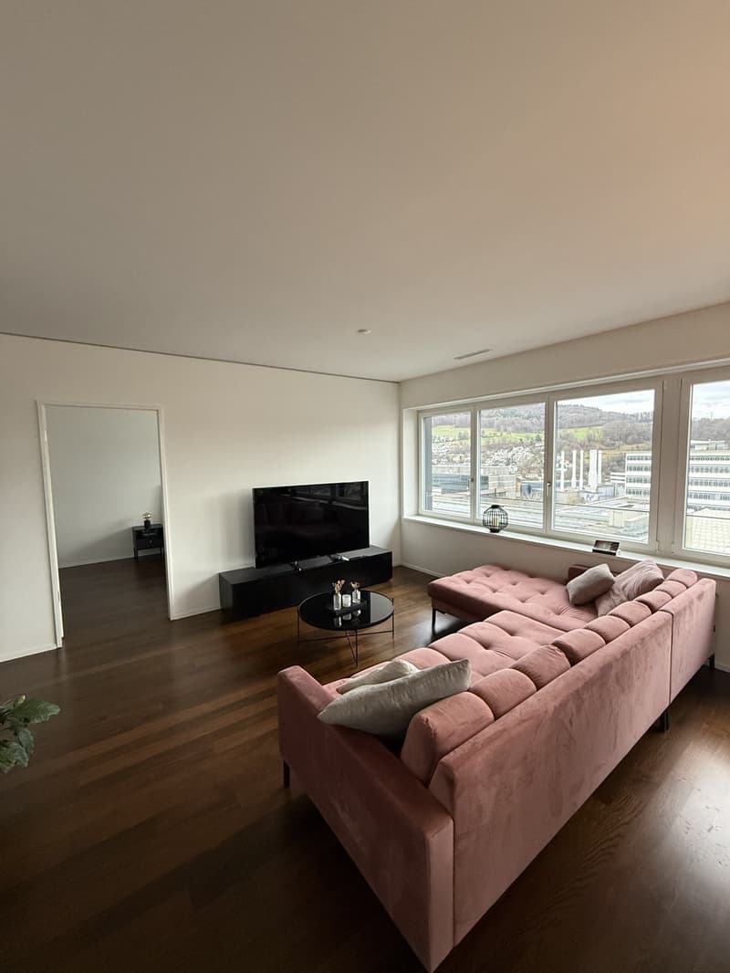 Möbelierte 3.5 Zimmer Wohnung in Baden zur befristeten Untermiete (2)