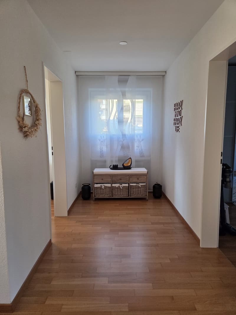 3.5 room apartment, 8955 Oetwil an der Limmat (8)