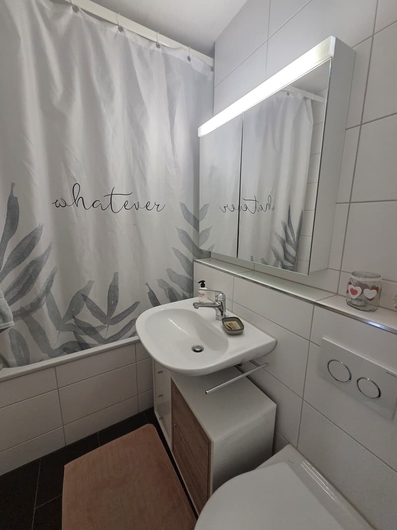 3.5 room apartment, 8955 Oetwil an der Limmat (7)