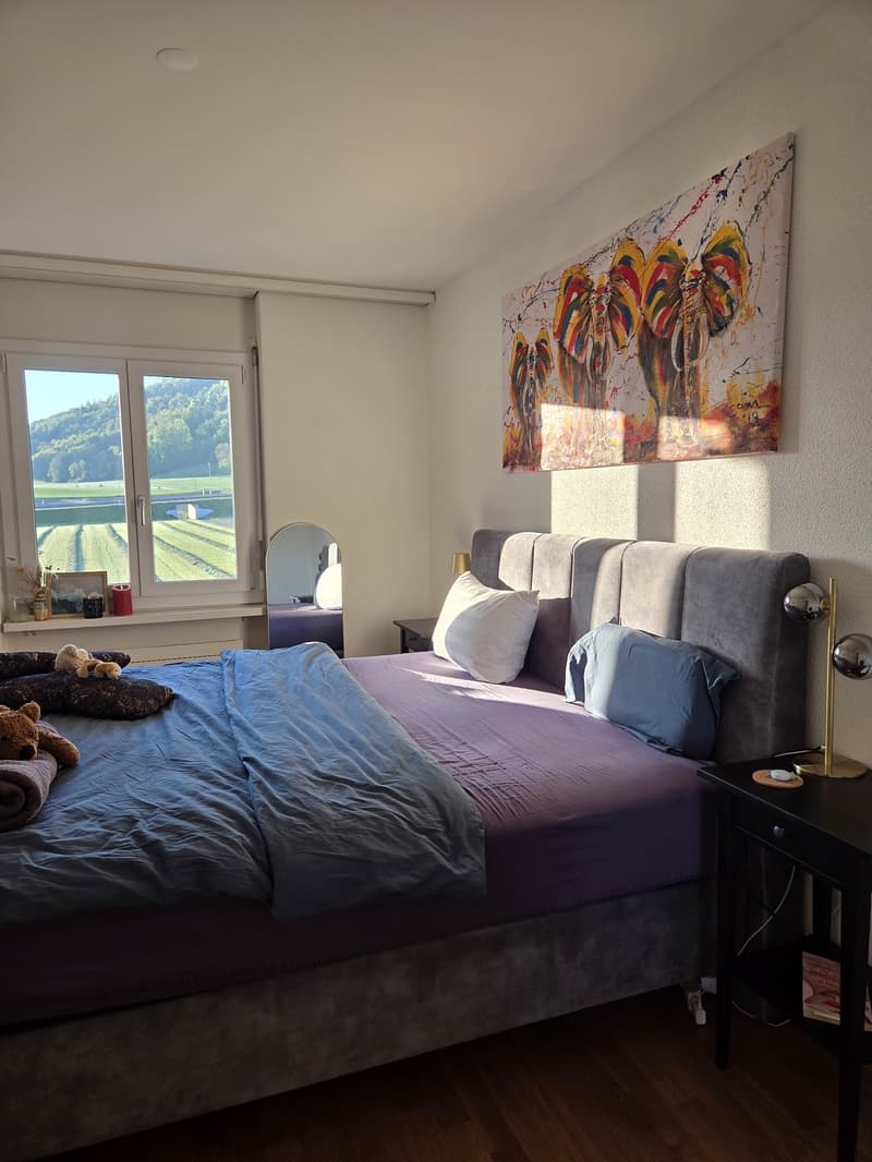 3.5 room apartment, 8955 Oetwil an der Limmat (9)