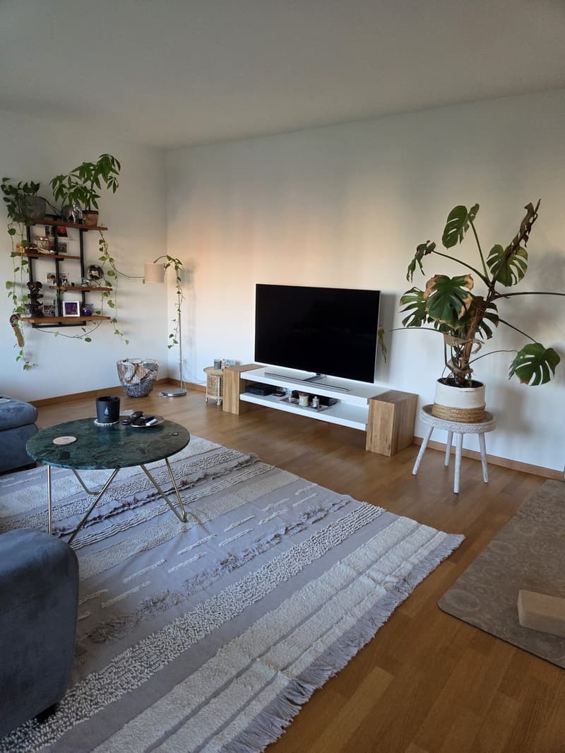 3.5 room apartment, 8955 Oetwil an der Limmat (12)