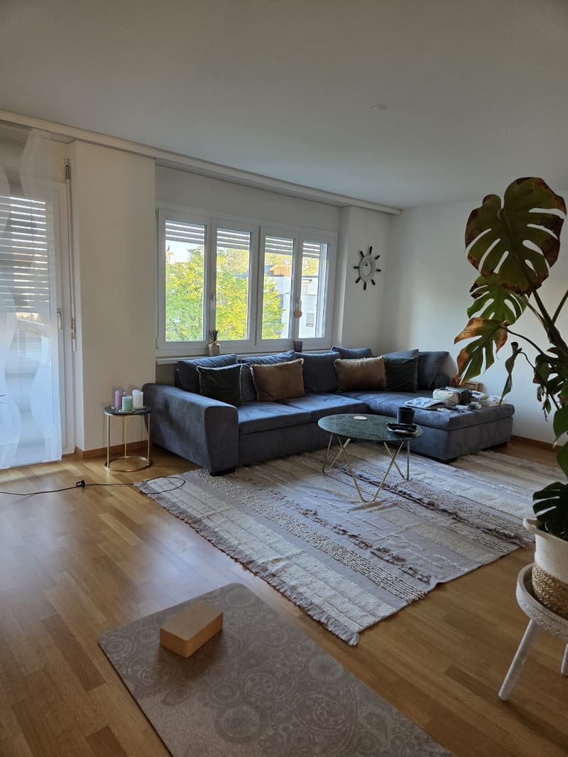 3.5 room apartment, 8955 Oetwil an der Limmat (11)