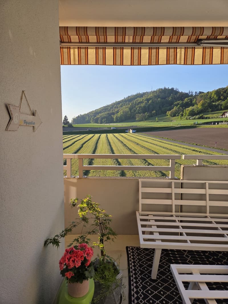 3.5 room apartment, 8955 Oetwil an der Limmat (2)