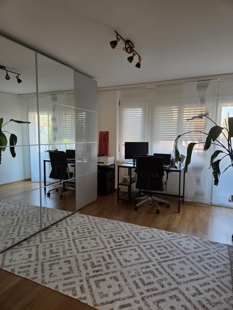 3.5 room apartment, 8955 Oetwil an der Limmat (10)