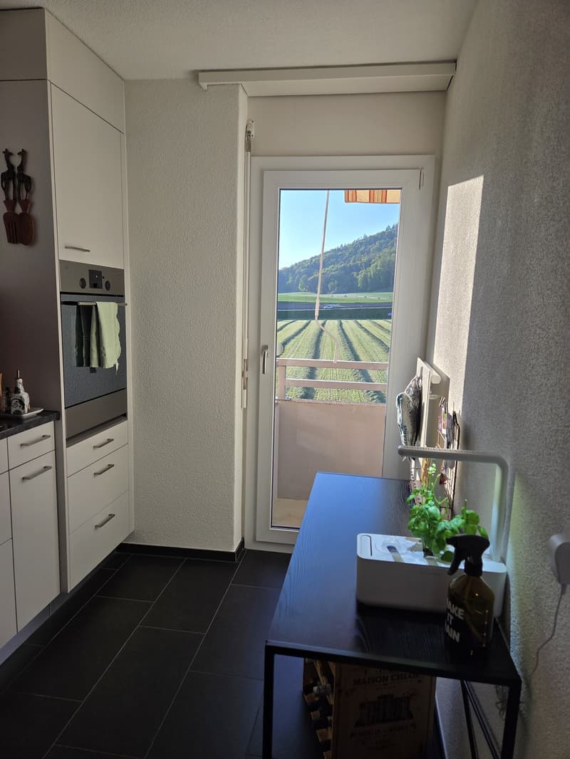 3.5 room apartment, 8955 Oetwil an der Limmat (4)
