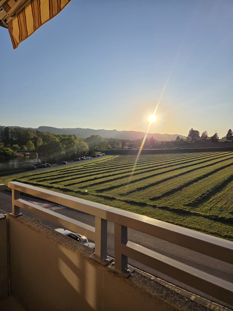 3.5 room apartment, 8955 Oetwil an der Limmat (13)