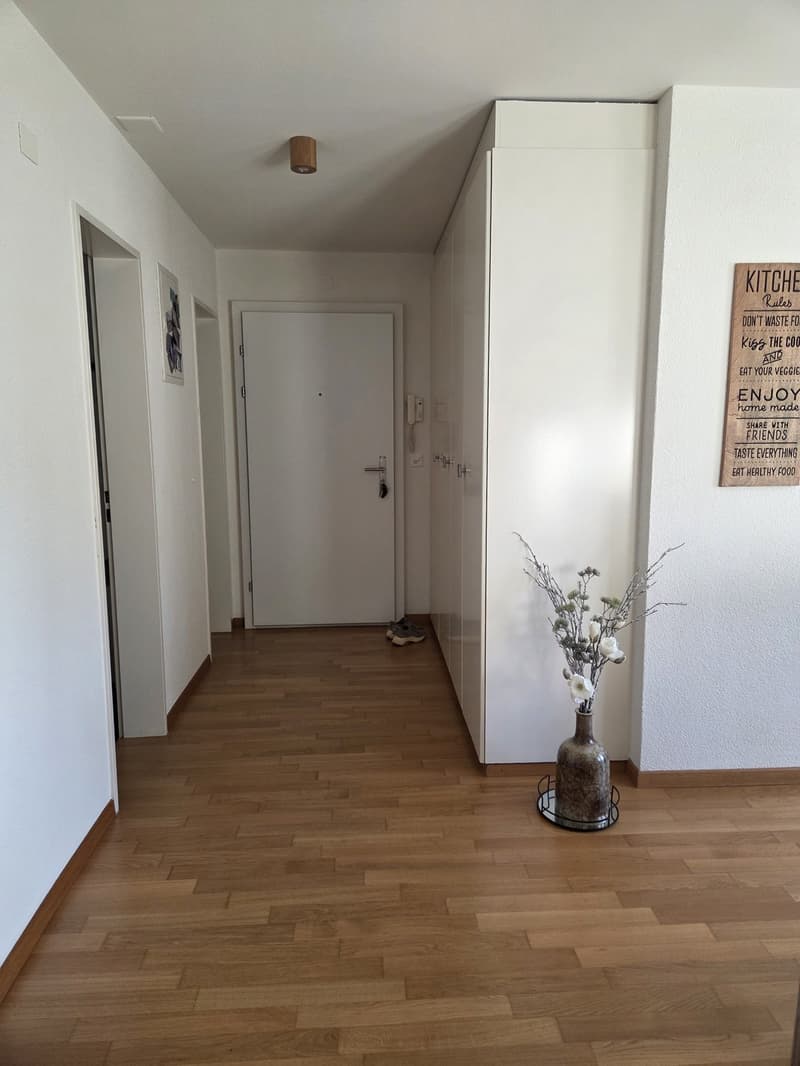 3.5 room apartment, 8955 Oetwil an der Limmat (5)